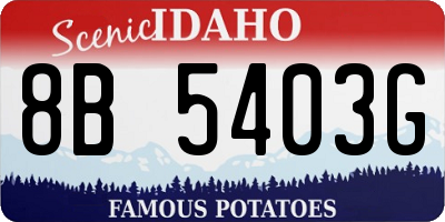 ID license plate 8B5403G