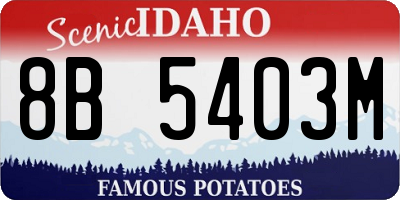 ID license plate 8B5403M