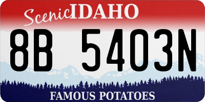 ID license plate 8B5403N