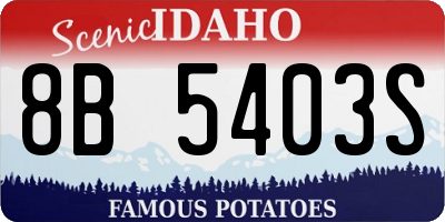 ID license plate 8B5403S