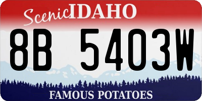 ID license plate 8B5403W
