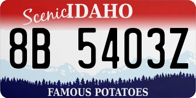 ID license plate 8B5403Z