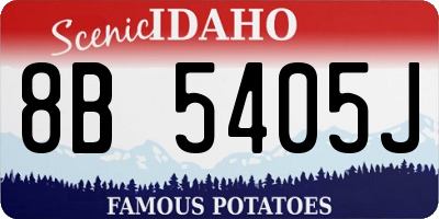 ID license plate 8B5405J