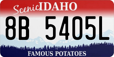 ID license plate 8B5405L