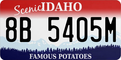 ID license plate 8B5405M