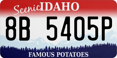 ID license plate 8B5405P