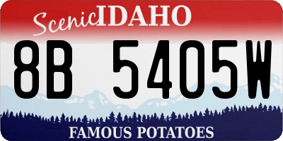 ID license plate 8B5405W