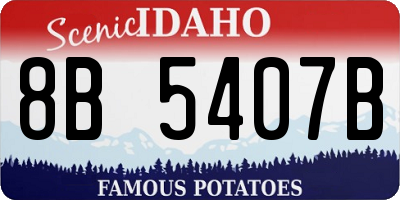 ID license plate 8B5407B