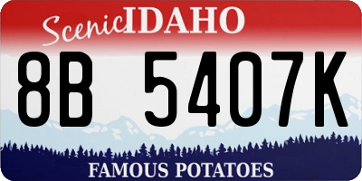 ID license plate 8B5407K