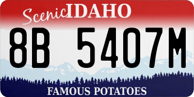 ID license plate 8B5407M
