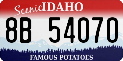 ID license plate 8B5407O