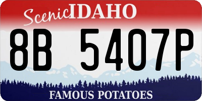 ID license plate 8B5407P