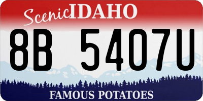 ID license plate 8B5407U