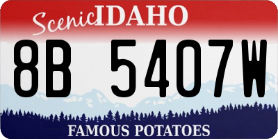 ID license plate 8B5407W