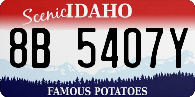ID license plate 8B5407Y