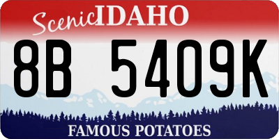 ID license plate 8B5409K