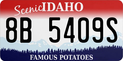 ID license plate 8B5409S