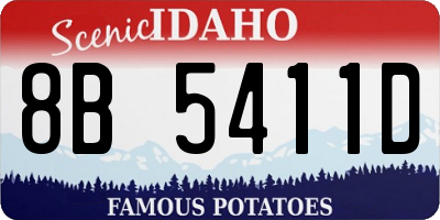 ID license plate 8B5411D