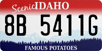 ID license plate 8B5411G