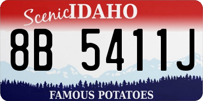 ID license plate 8B5411J