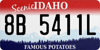 ID license plate 8B5411L