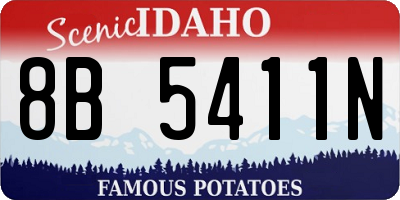 ID license plate 8B5411N