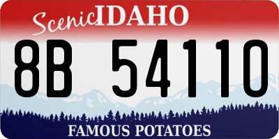 ID license plate 8B5411O