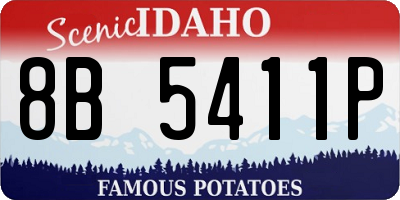 ID license plate 8B5411P