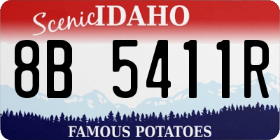ID license plate 8B5411R