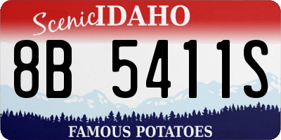 ID license plate 8B5411S