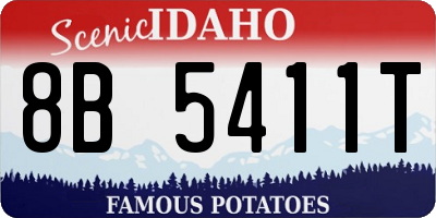 ID license plate 8B5411T