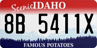 ID license plate 8B5411X