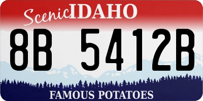 ID license plate 8B5412B