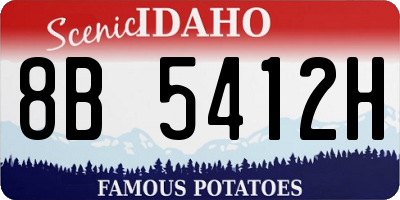 ID license plate 8B5412H