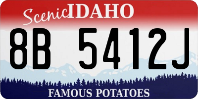 ID license plate 8B5412J