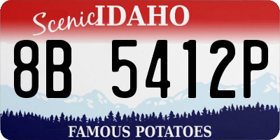 ID license plate 8B5412P