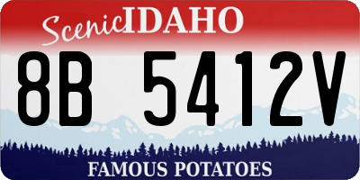 ID license plate 8B5412V