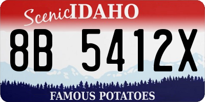 ID license plate 8B5412X