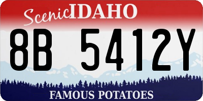ID license plate 8B5412Y