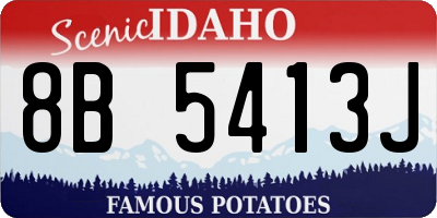 ID license plate 8B5413J