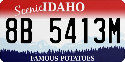 ID license plate 8B5413M