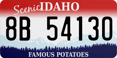 ID license plate 8B5413O