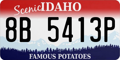 ID license plate 8B5413P