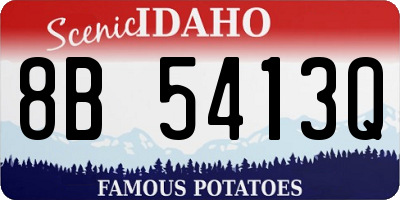 ID license plate 8B5413Q
