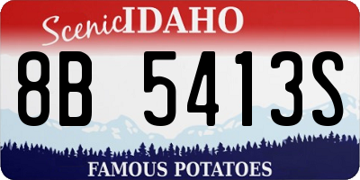 ID license plate 8B5413S