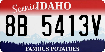 ID license plate 8B5413V