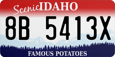 ID license plate 8B5413X