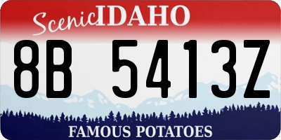 ID license plate 8B5413Z