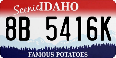 ID license plate 8B5416K