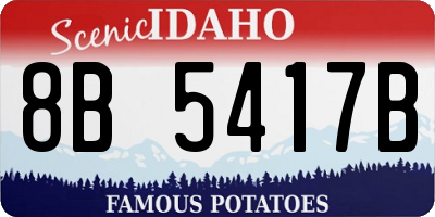 ID license plate 8B5417B